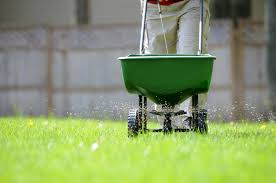 Lawn Fertilization and Health Benefits