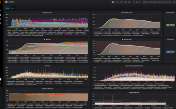 Managing hundreds of servers for load test