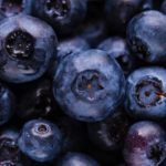 Benefits of Blueberries for the Brain