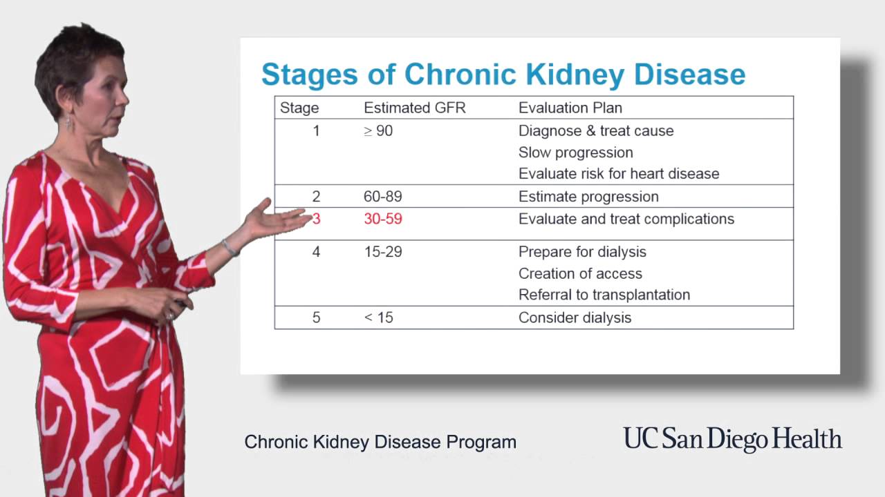 What Is Stage 2 Of Kidney Failure