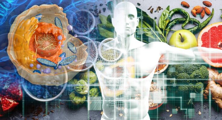 Full Cellular Health Assessment