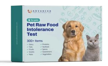 Pet Raw Food Intolerance